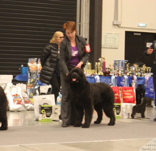 Фотография № 218359