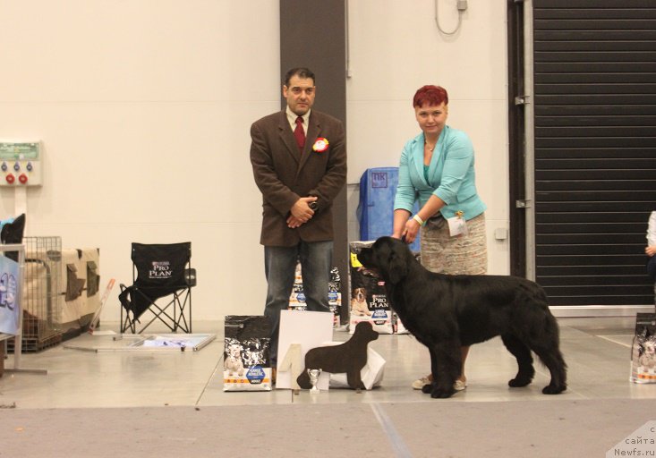 Фотография № 218364