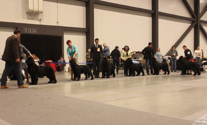 Фотография № 218365