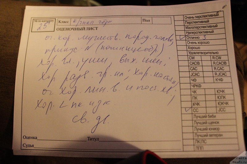 Фотография № 218366