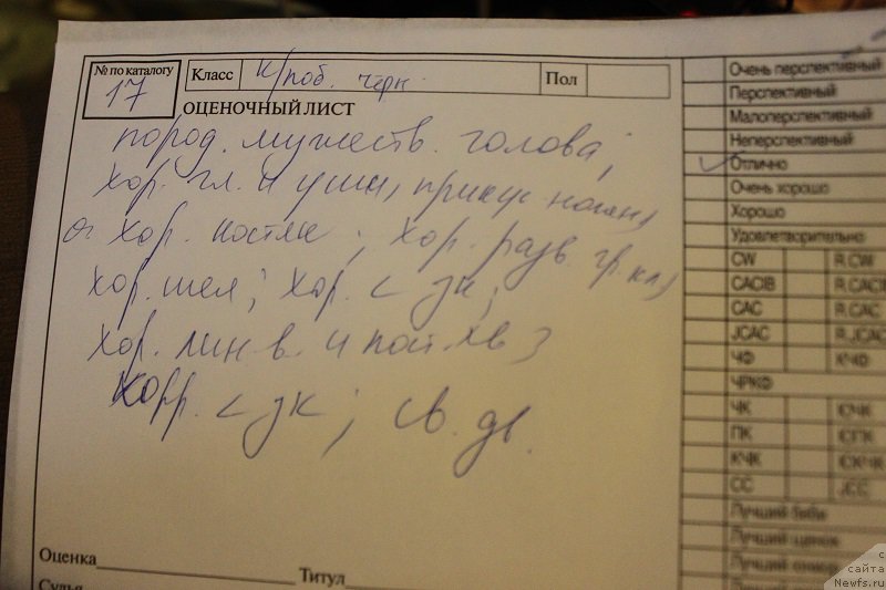 Фотография № 218367