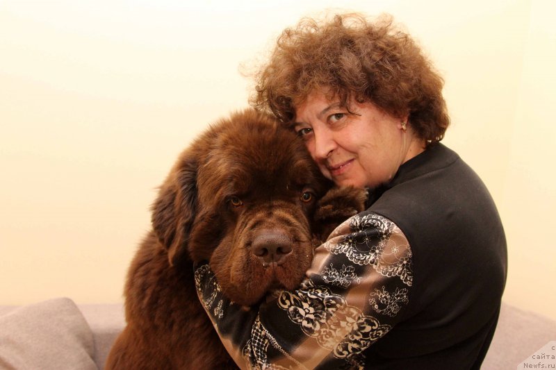 Фотография № 218372