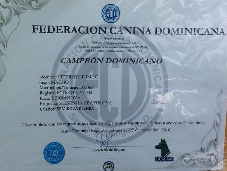 Фотография № 218380