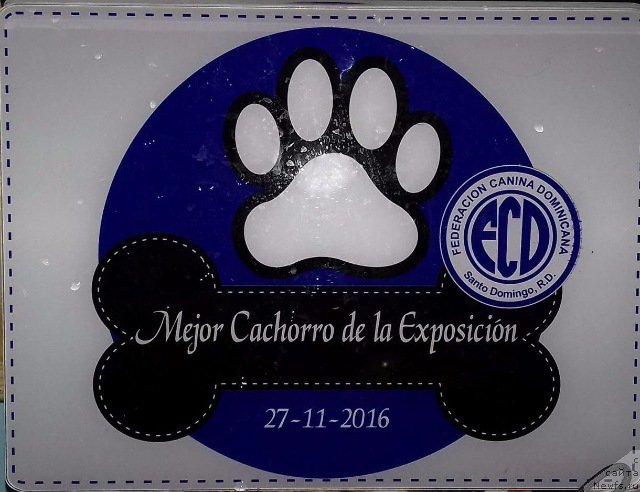 Фотография № 218395