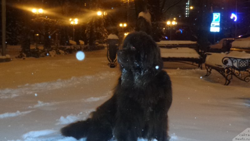 Фотография № 218407