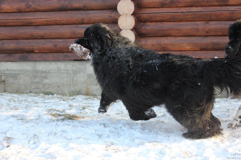 Фотография № 218409