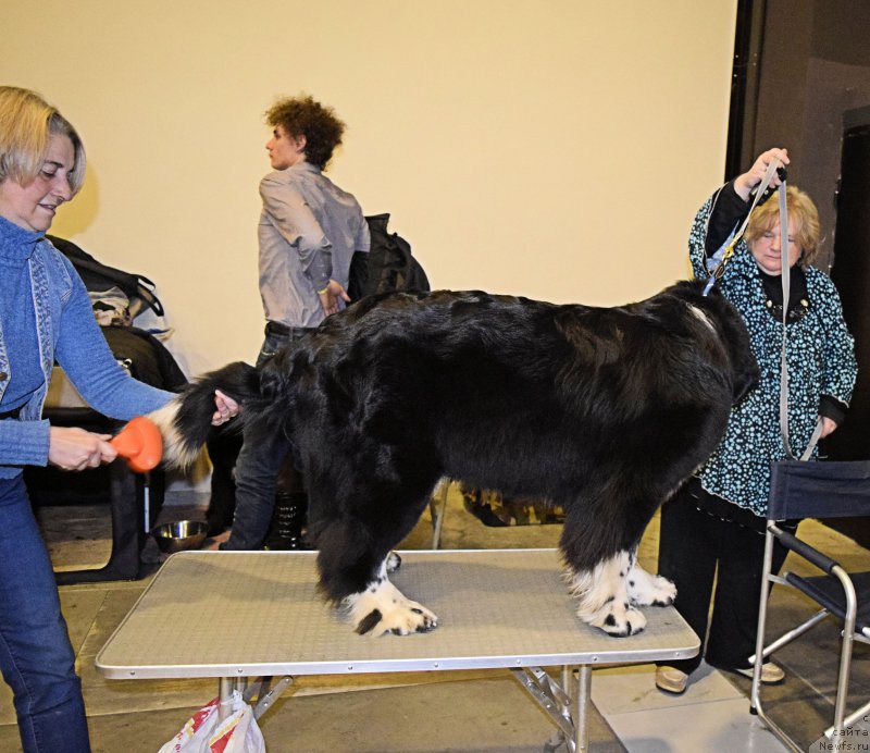 Фотография № 218426