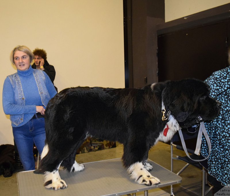 Фотография № 218427