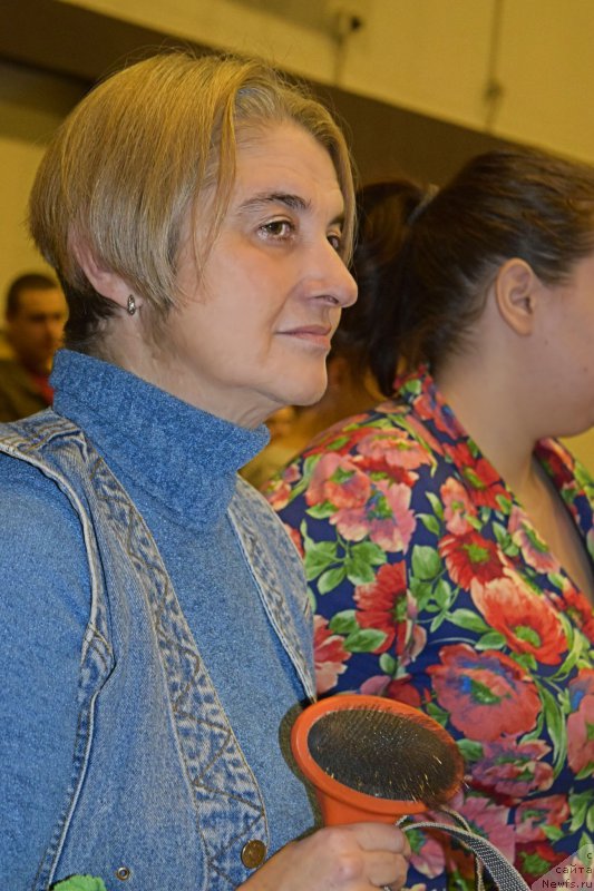 Фотография № 218428