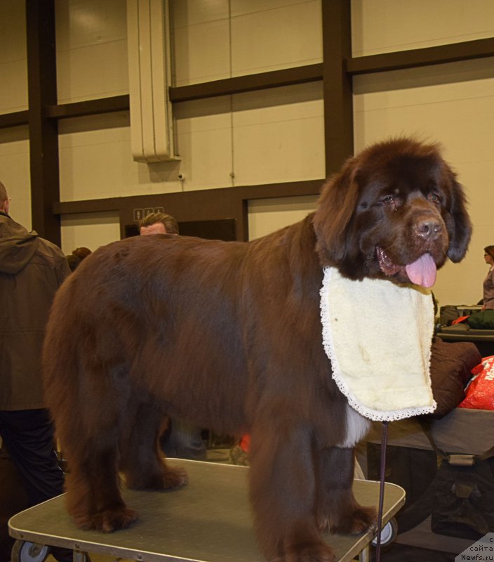 Фотография № 218432