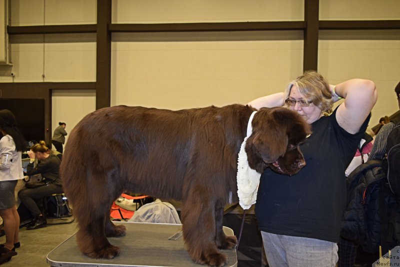 Фотография № 218442