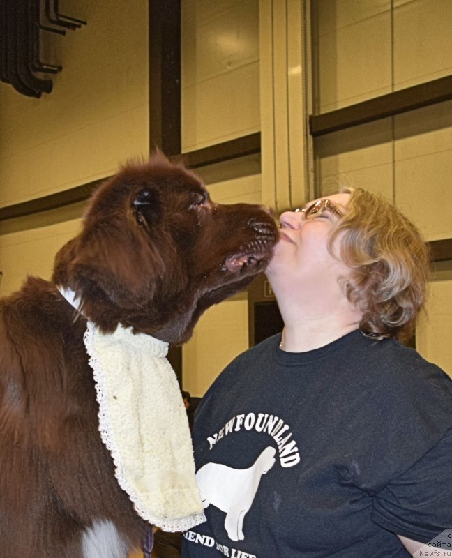 Фотография № 218450