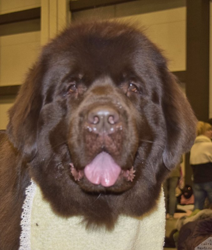 Фотография № 218451