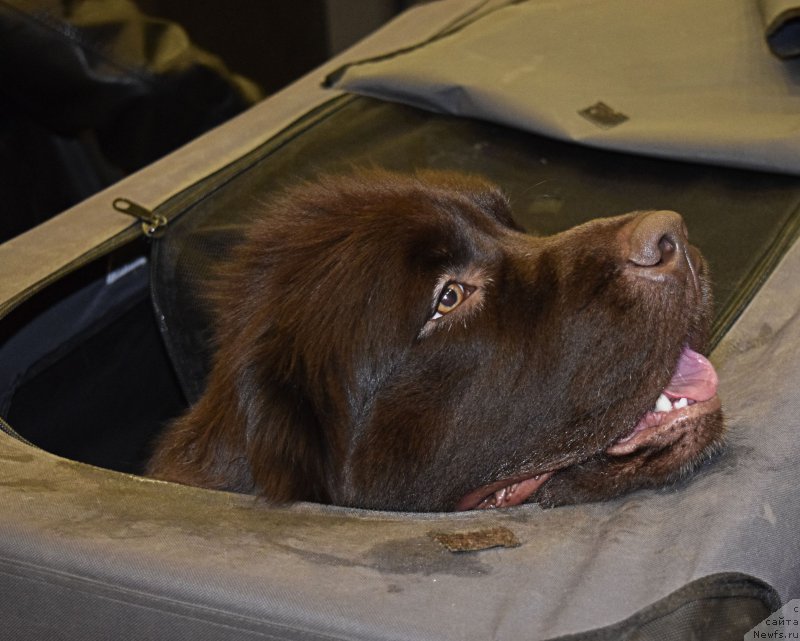 Фотография № 218453