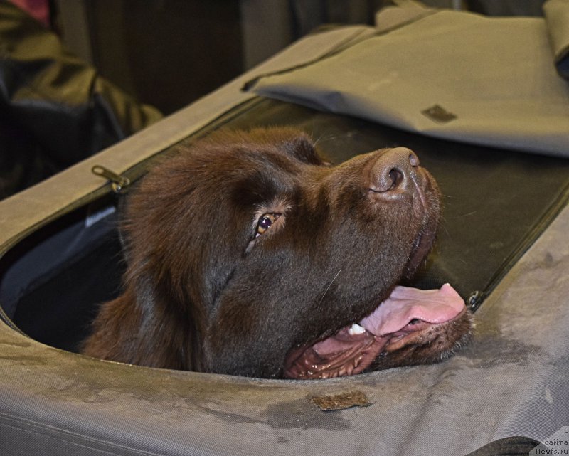 Фотография № 218457