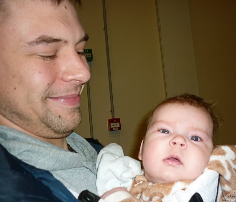 Фотография № 218464