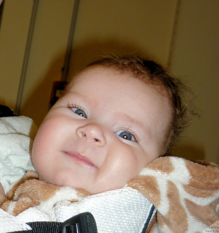 Фотография № 218466