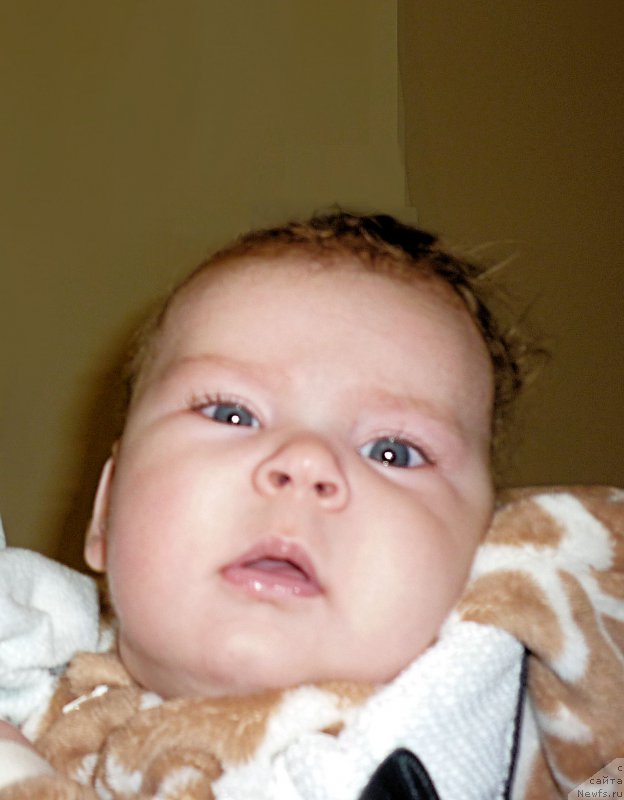 Фотография № 218467