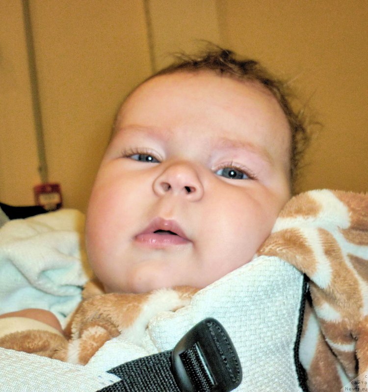 Фотография № 218468