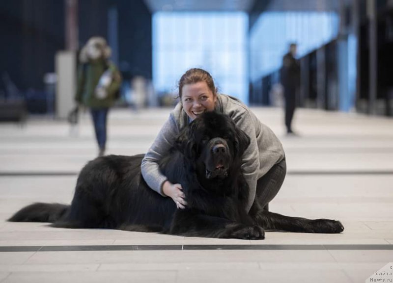 Фотография № 218484