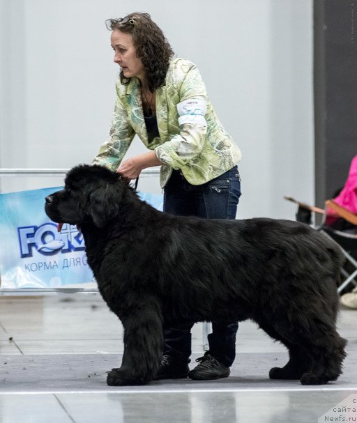 Фотография № 218486