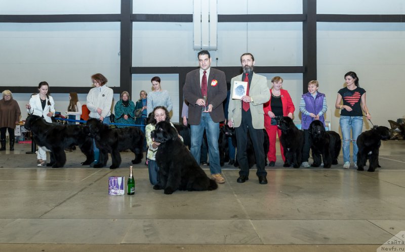 Фотография № 218487