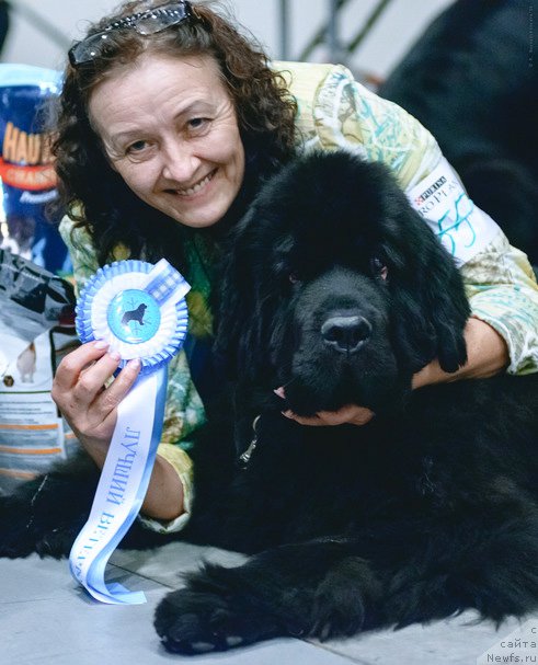 Фотография № 218489