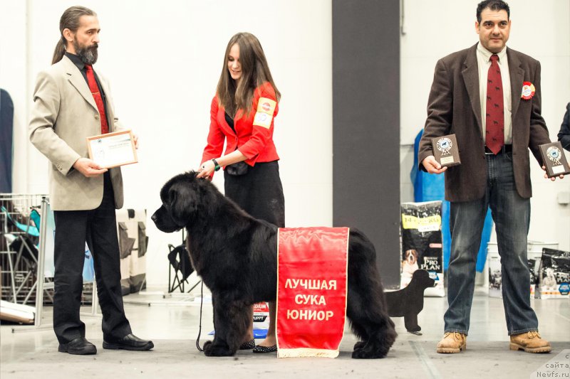 Фотография № 218498