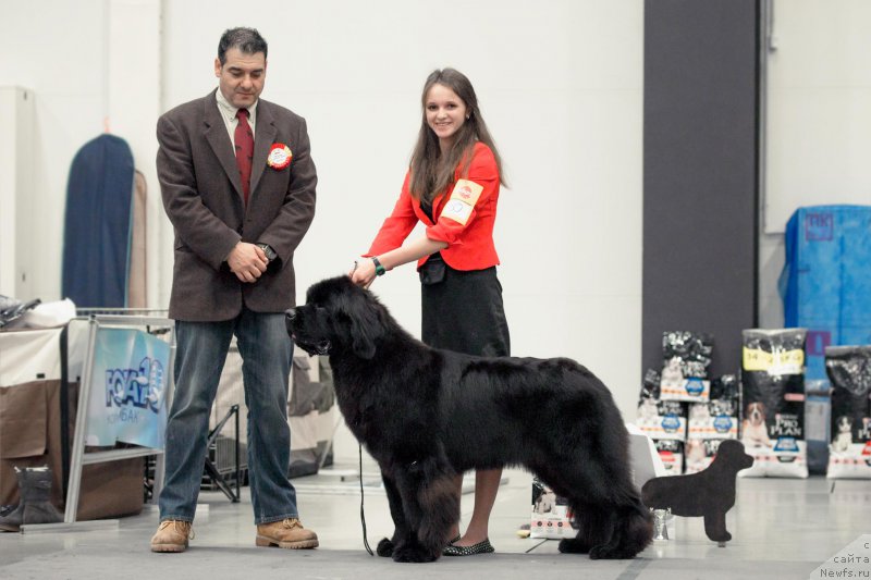 Фотография № 218499