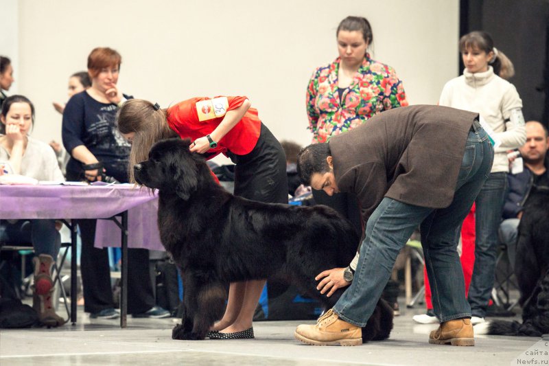 Фотография № 218500