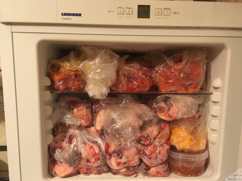 Фотография № 218507