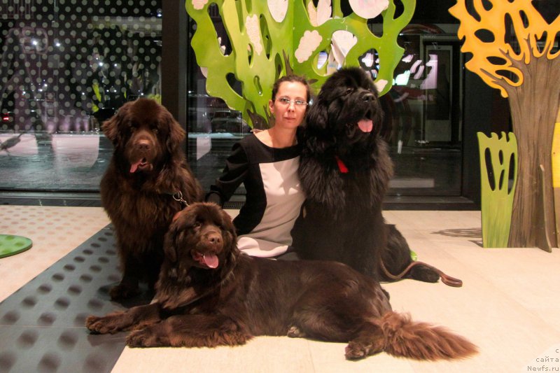 Фотография № 218509