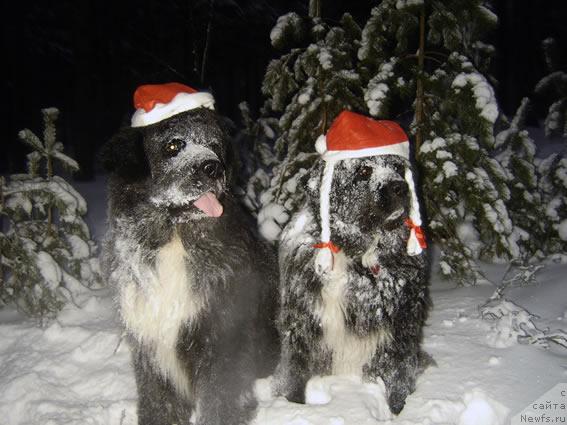 Фотография № 21854