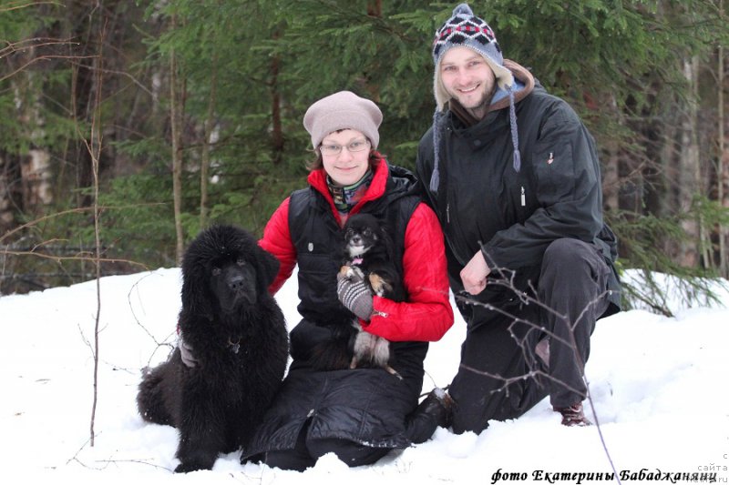 Фотография № 218575