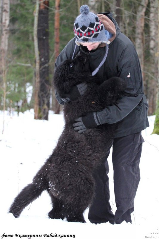 Фотография № 218576