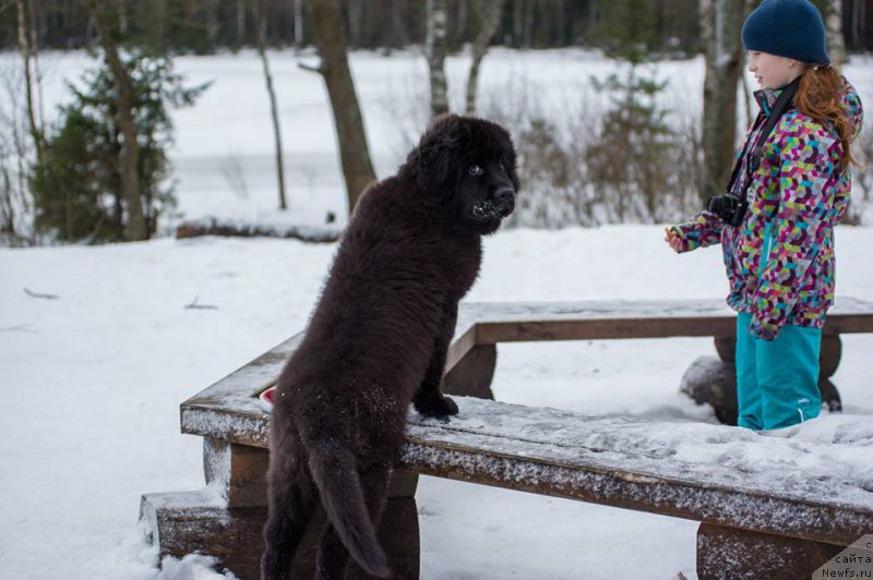 Фотография № 218588