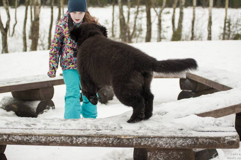 Фотография № 218589