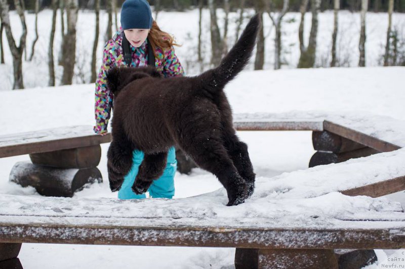 Фотография № 218590