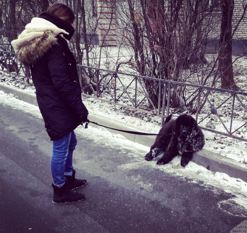 Фотография № 218592