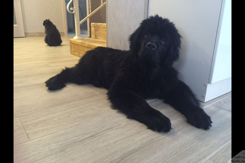 Фотография № 218655