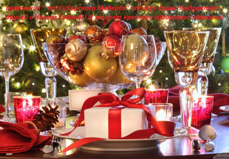 Фотография № 218657