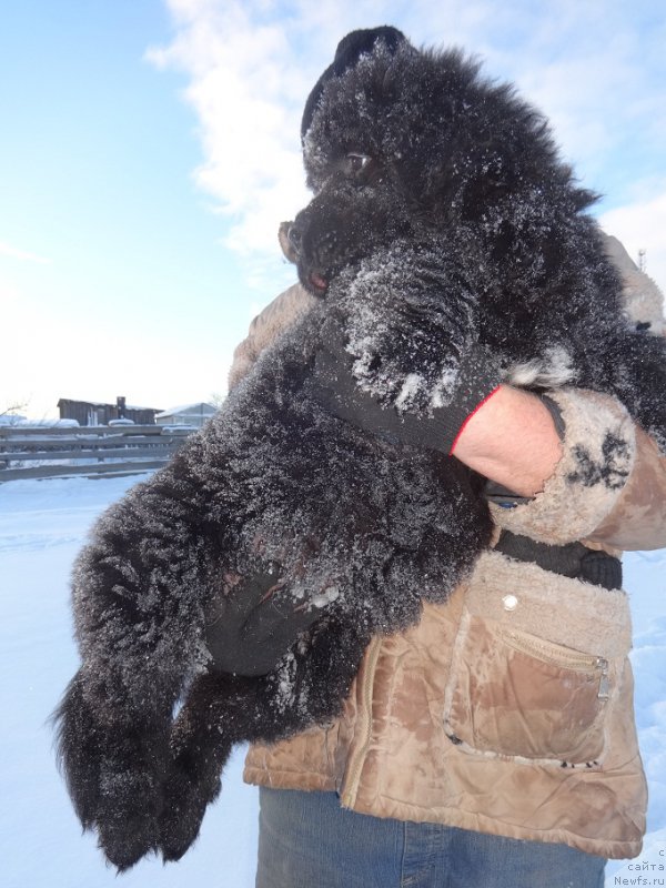 Фотография № 218661