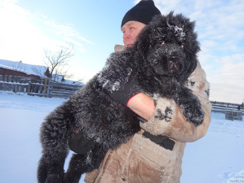 Фотография № 218662