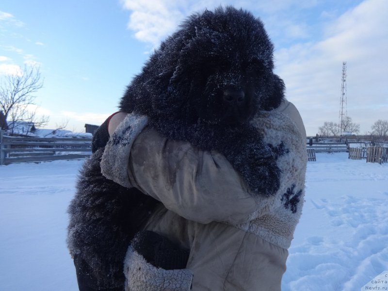 Фотография № 218667