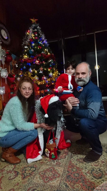 Фотография № 218692