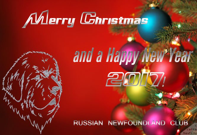 Фотография № 218698