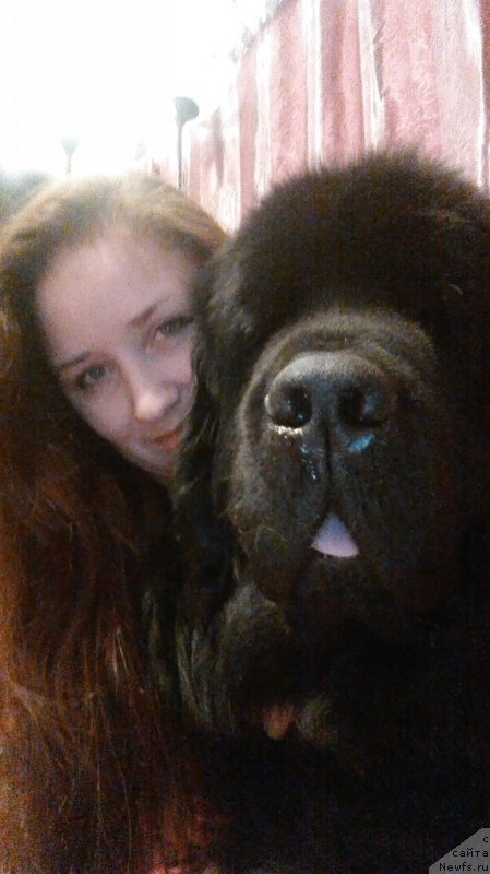 Фотография № 218700