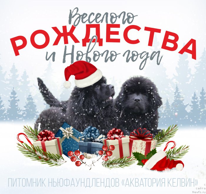 Фотография № 218704