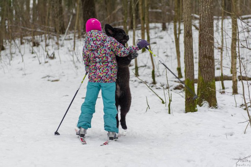 Фотография № 218731