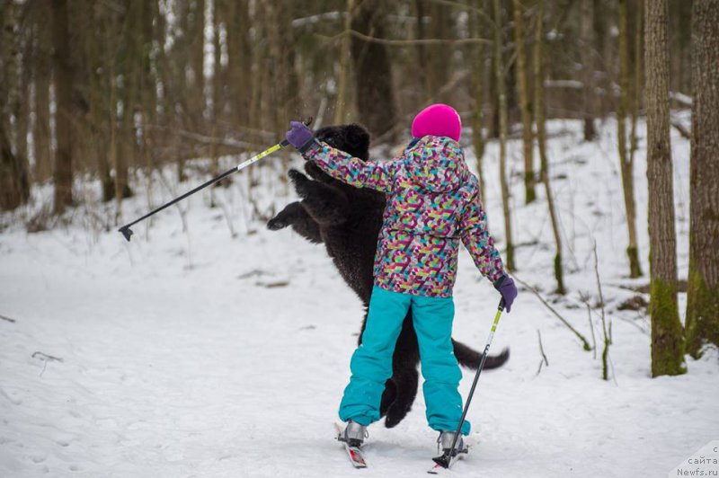 Фотография № 218732